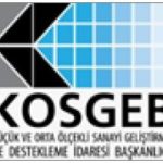 Kosgeb